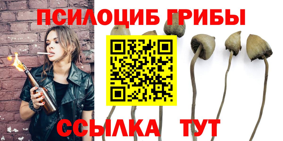 Псилоцибиновые грибы MAGIC MUSHROOMS  Псилоцибиновые грибы MAGIC MUSHROOMS  Вход с VPN  Норильск 